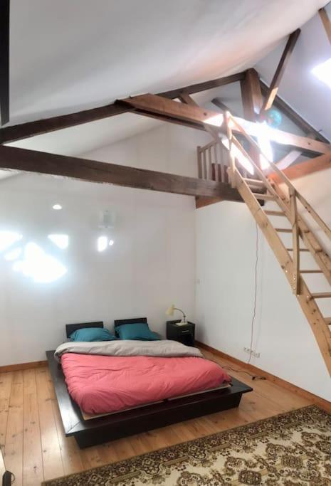 Maison Chaleureuse Et Calme Panazol エクステリア 写真